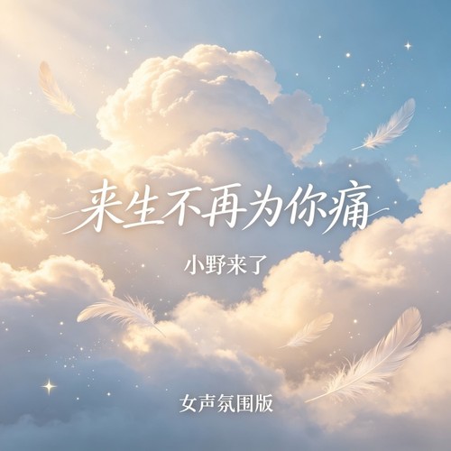 来生不再为你痛（女声氛围版）