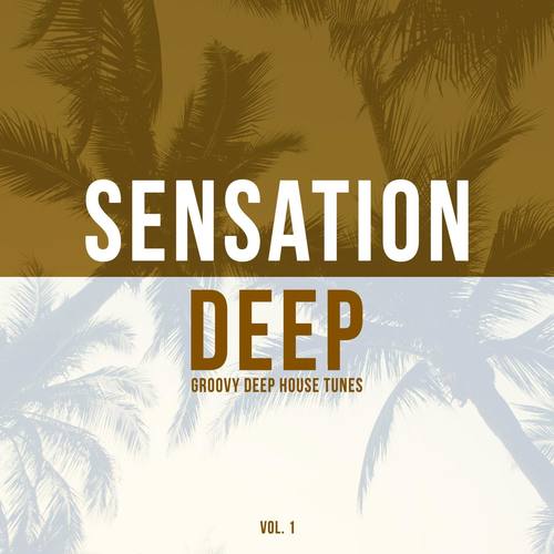 Sensation Deep, Vol. 1 (Groovy Deep House Tunes)