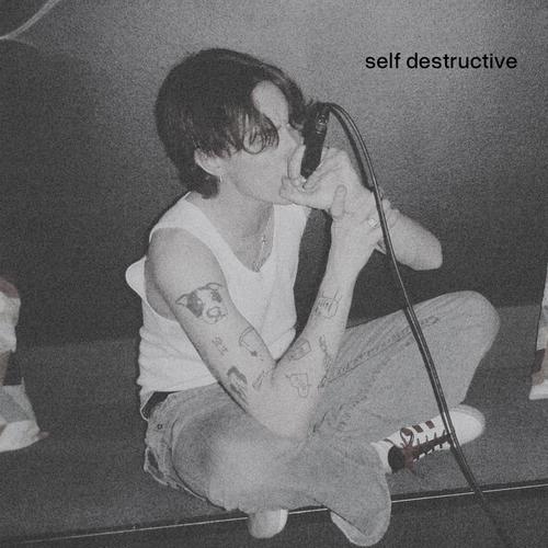 self destructive (feat. NORTON) [Explicit]
