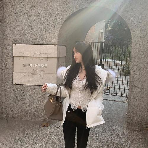 向前飞我是等爱的玫瑰