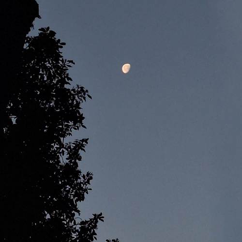 Despues de la Tormenta