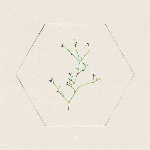 BILO I (2022 Remastered Version)