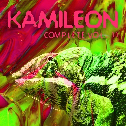 Kamileon Complete, Vol. 11