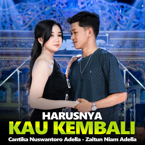 Harusnya Kau Kembali