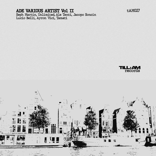 ADE VARIOUS ARTIST Vol. II