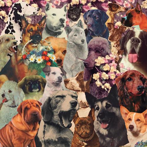 DOGSTOEVSKY (Explicit)