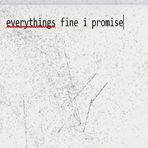 everythings fine i promise