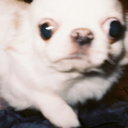 バグり (feat. kZm, Awich, PETZ, MonyHorse & JNKMN) [Explicit]