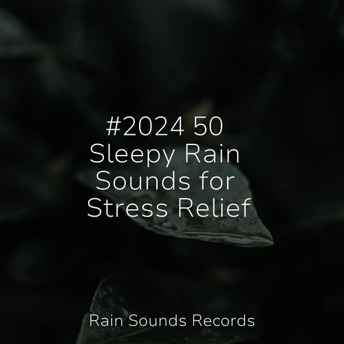 #2024 50 Sleepy Rain Sounds for Stress Relief