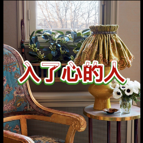 入了心的人