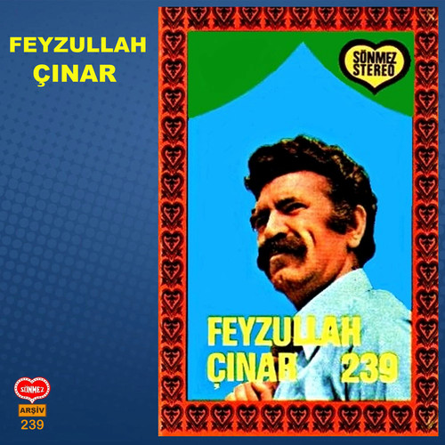 FEYZULLAH ÇINAR