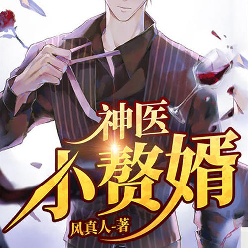神医小赘婿