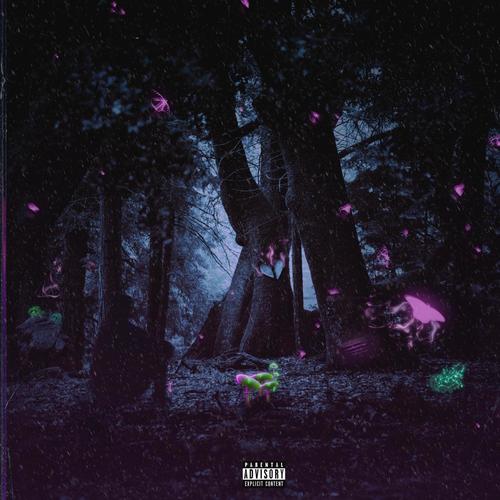 BUTTERFLIES & NIGHTMARES (Explicit)