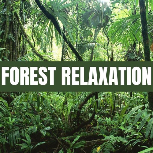 FOREST RELAXATION