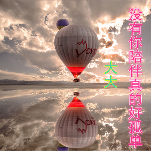 没有你陪伴真的好孤单