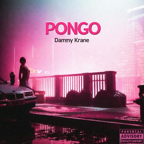 PONGO (Explicit)