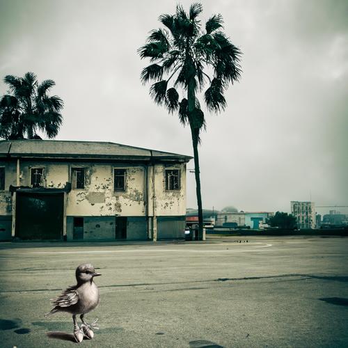 in a parking lot on the edge of town