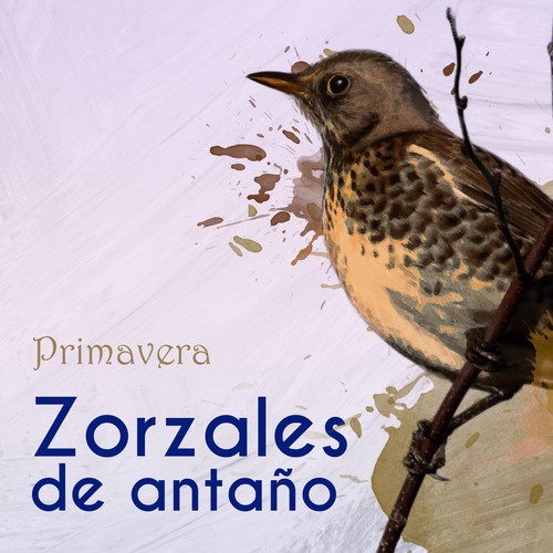 Zorzales de Antaño… Primavera