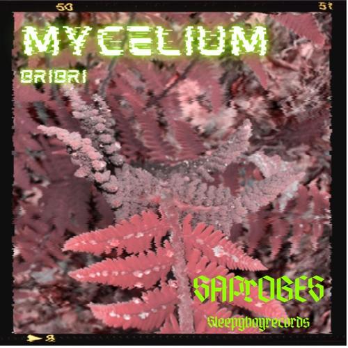 Mycelium