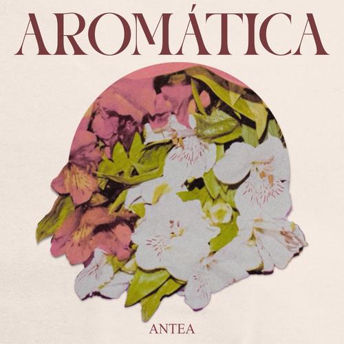 Aromática