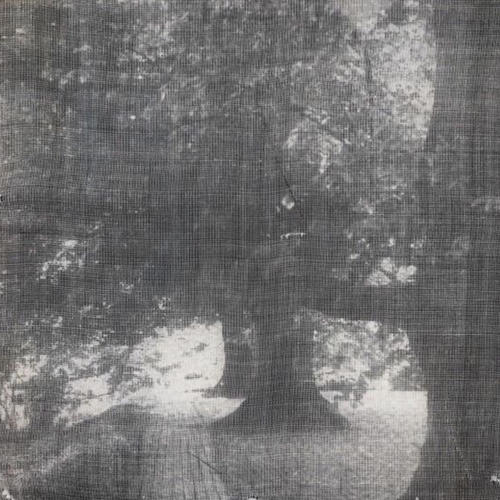 I Know, I’m Evil (feat. deadends)