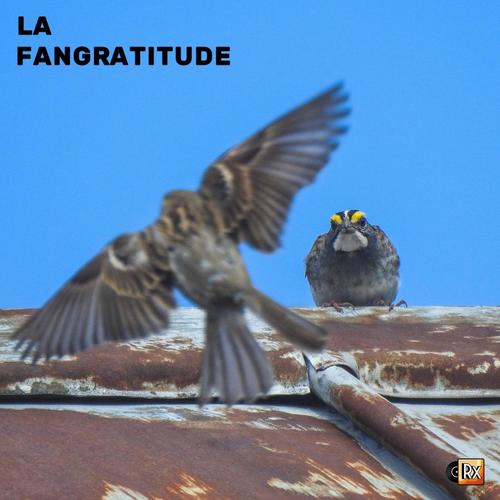 La Fangratitude