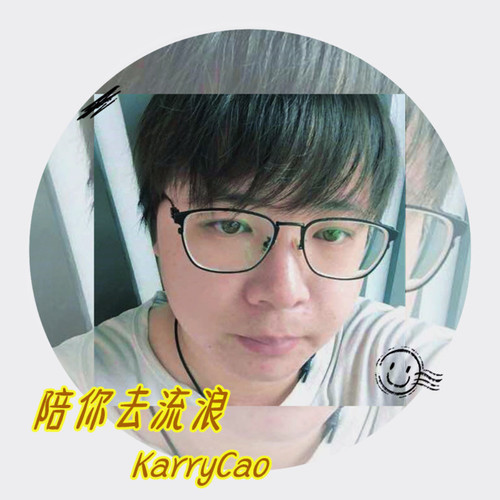陪你去流浪
