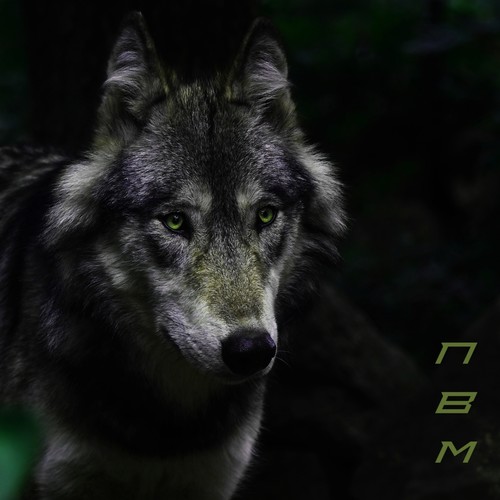 Lone Wolf