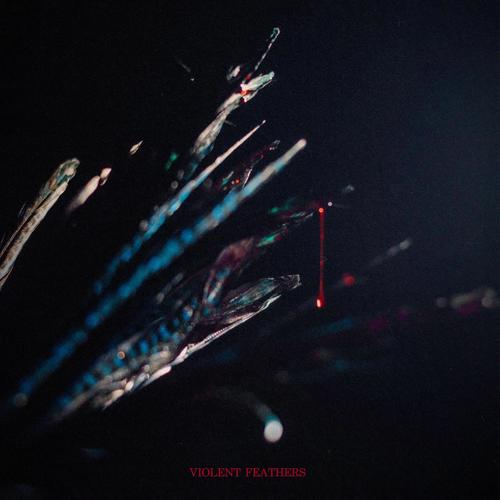 Violent Feathers (Explicit)