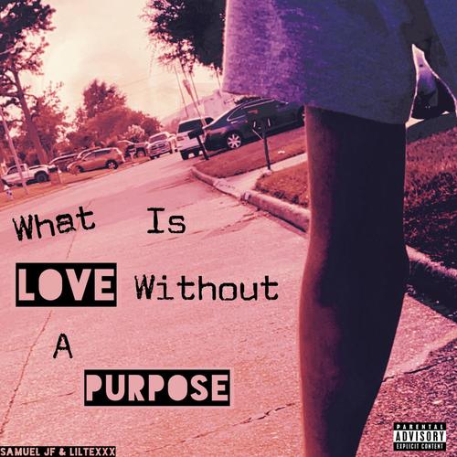 What is Love Without a Purpose? (Explicit)