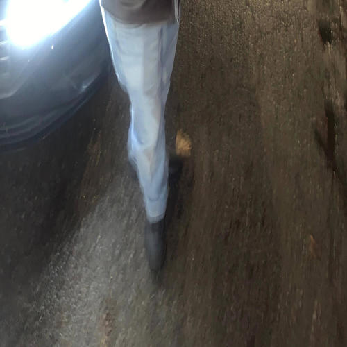 glo (feat. LIL BUDDI) [Explicit]