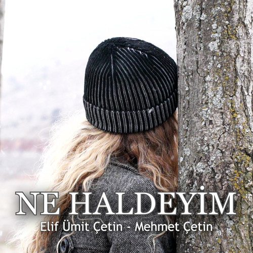 Ne haldeyim