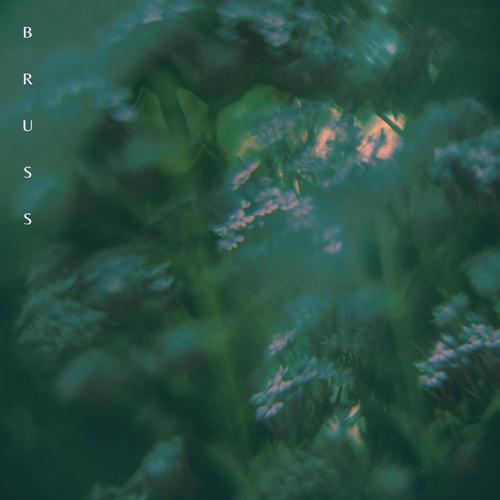 VANESSA (2STEP VERSION) [Explicit]