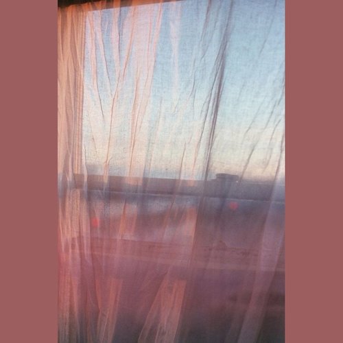 我们有过太多时间 争辩飞鸟的含义