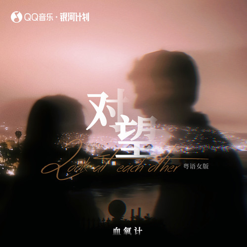 对望 (粤语女版)
