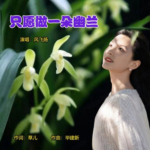 只愿做一朵幽兰