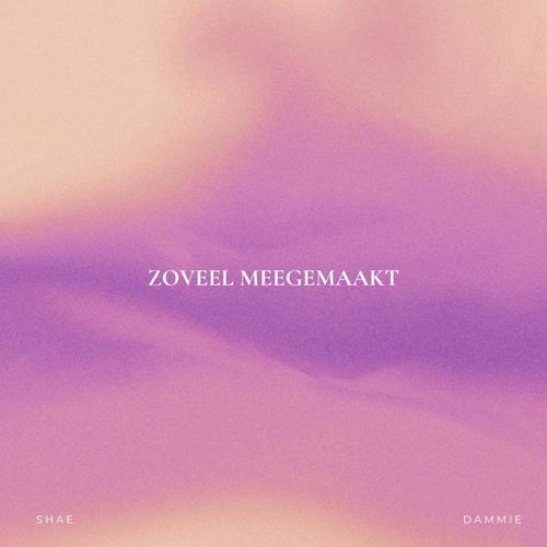 Zoveel Meegemaakt