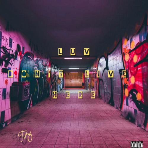 Luv Dont Live Here (Explicit)