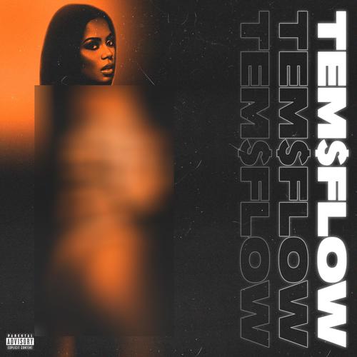 TEM$ FLOW (Explicit)