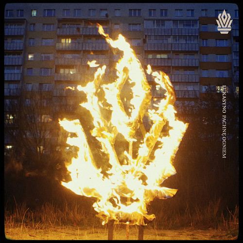 Błędne koło (Explicit)