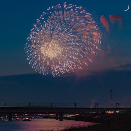 柒柒宝的解忧店