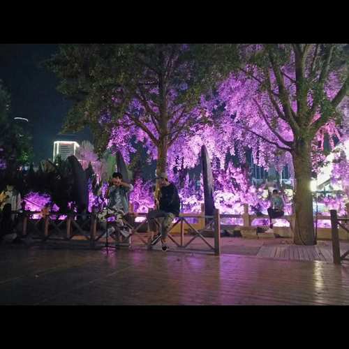 给笑笑女孩的一封信