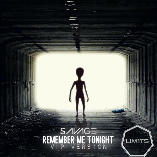 Remember Me Tonight (VIP Version)