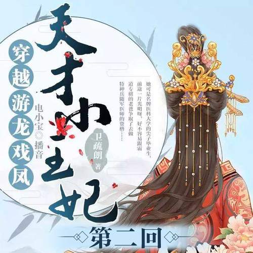 穿越游龙戏凤：天才小王妃 第三回