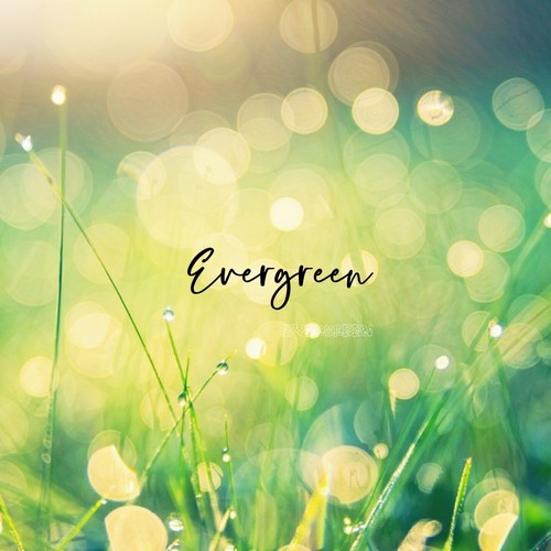 Evergreen