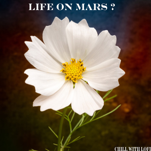 Life on Mars?