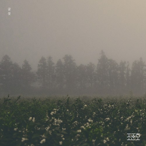 귤꽃 (Citrus Flower)