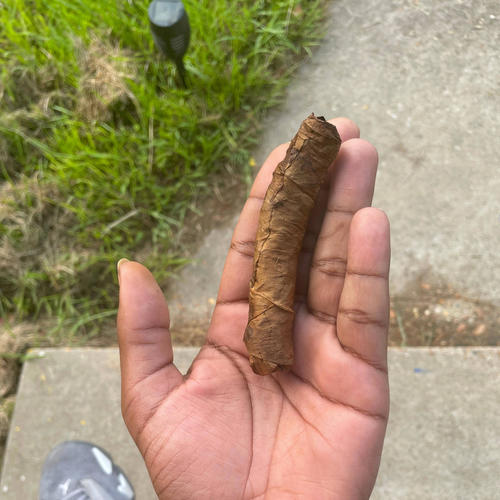 I want to meet Zoelyfe (Explicit)