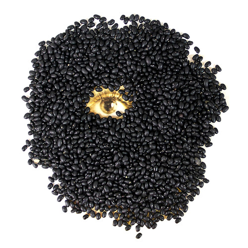 De canção em canção