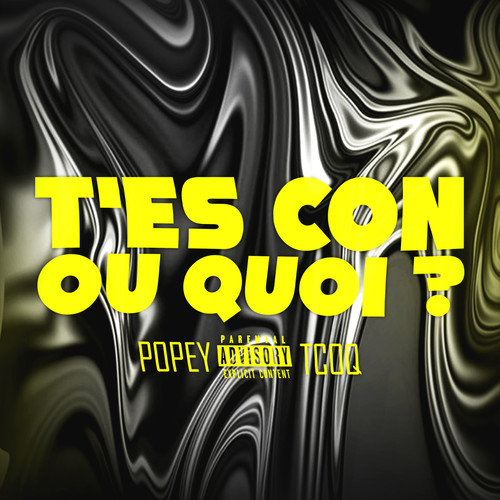T'es con ou quoi ? (Explicit)